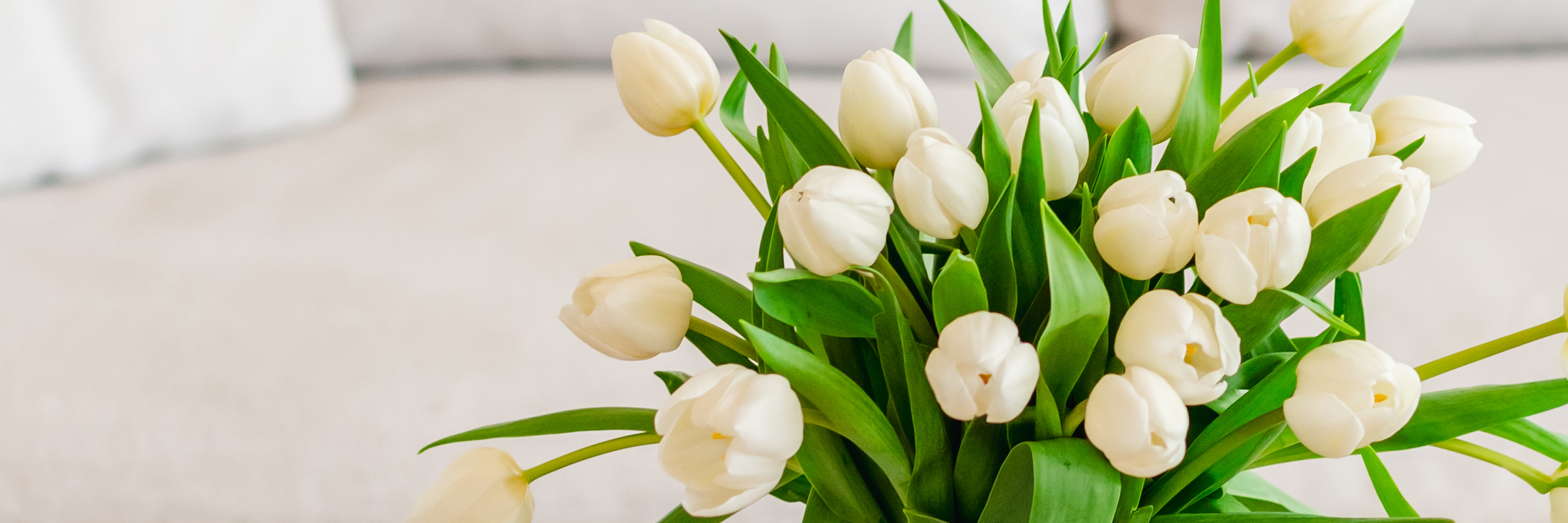 Elegant bouquet of white tulips set against a soft backdrop, ideal for brightening any space.