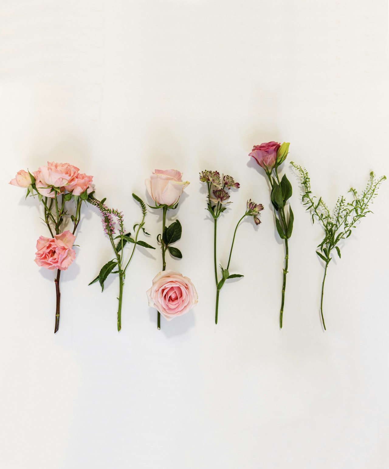 A serene display of delicate pink roses and greenery, showcasing nature's beauty.