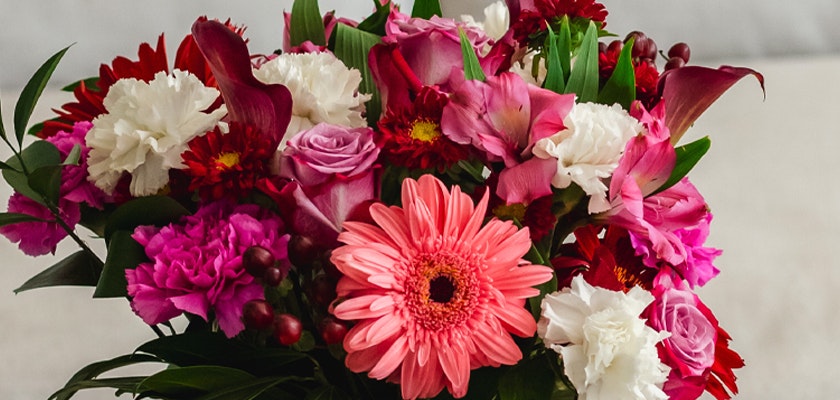 Vibrant mixed floral bouquet featuring pink gerbera daisies, roses, and deep red blooms.