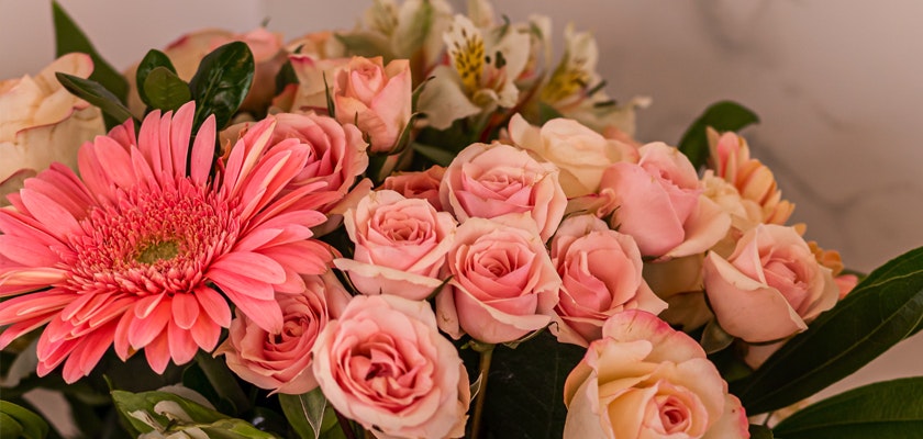 A vibrant bouquet featuring soft pink roses and bright gerbera daisies, perfect for any occasion.