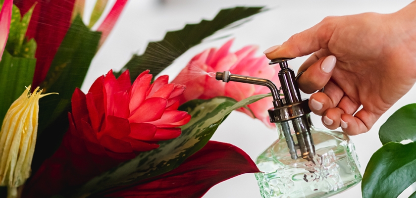 A person misting vibrant pink flowers with a decorative spray bottle, enhancing their freshness.