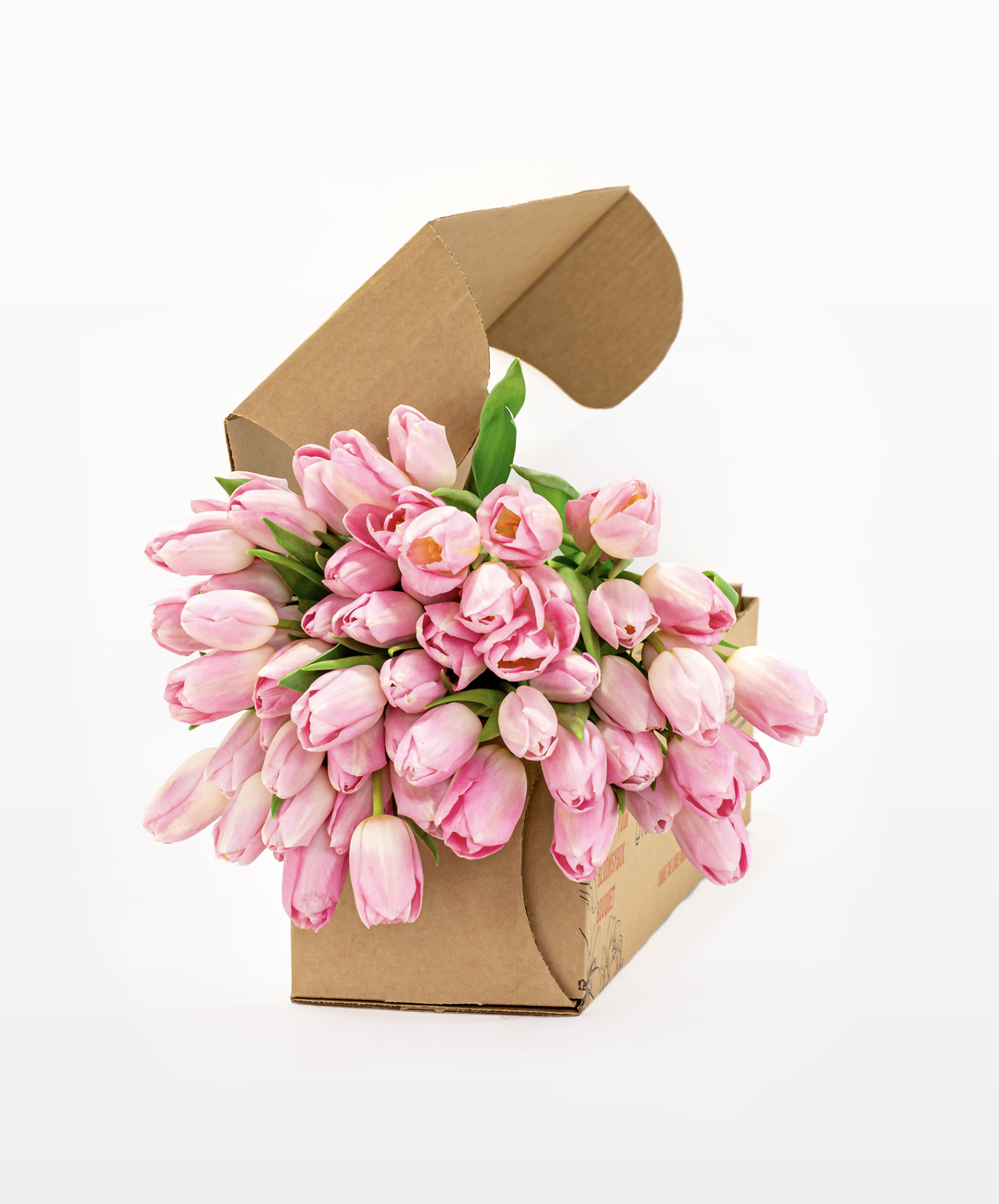 Princess Pink Tulip Premium Floral Gift | BloomsyBox.com.com