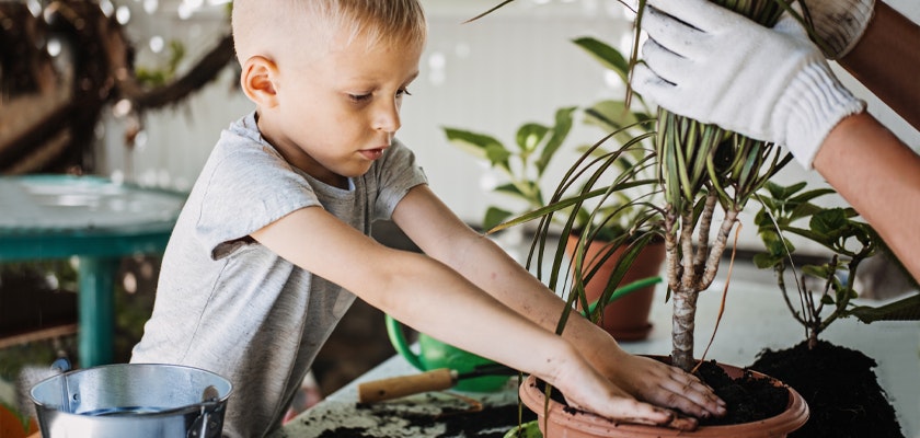 Young boy planting a small potted plant, nurturing nature in a sunny garden setting.