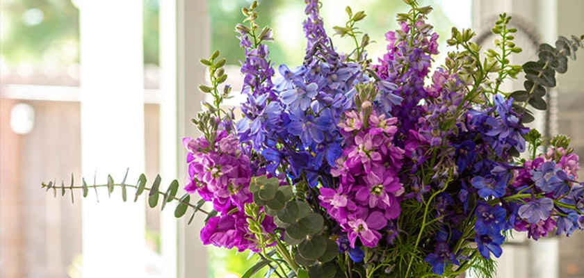 Vibrant bouquet of purple and pink delphiniums with lush eucalyptus, perfect for decoration.