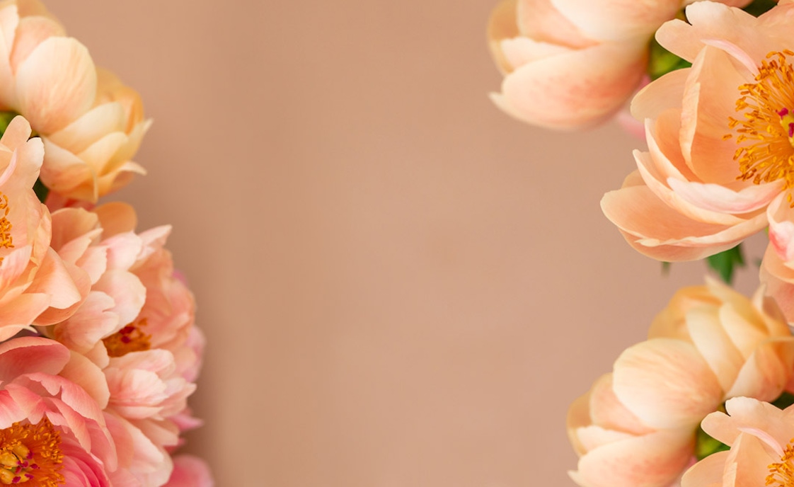 Delicate peach peonies creating a soft floral border against a neutral background.