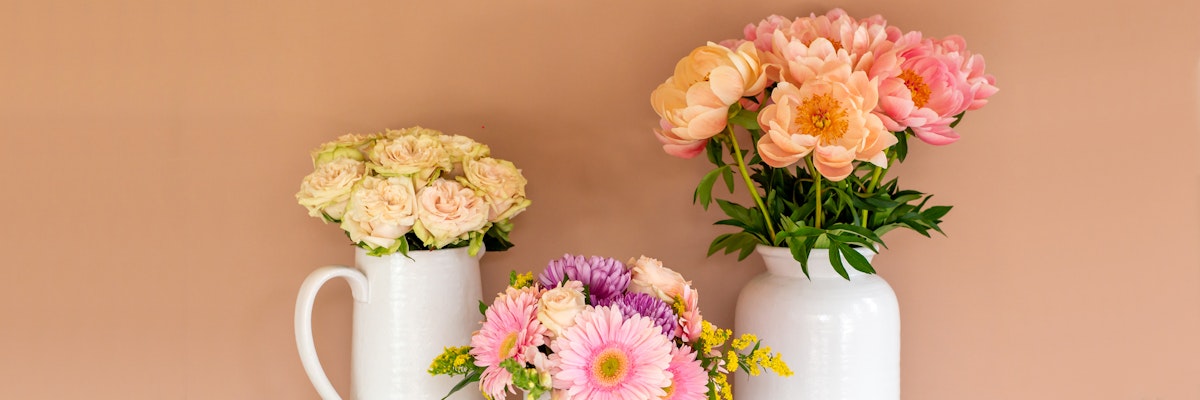 Elegant floral display featuring soft pink peonies and vibrant gerbera daisies in white vases.