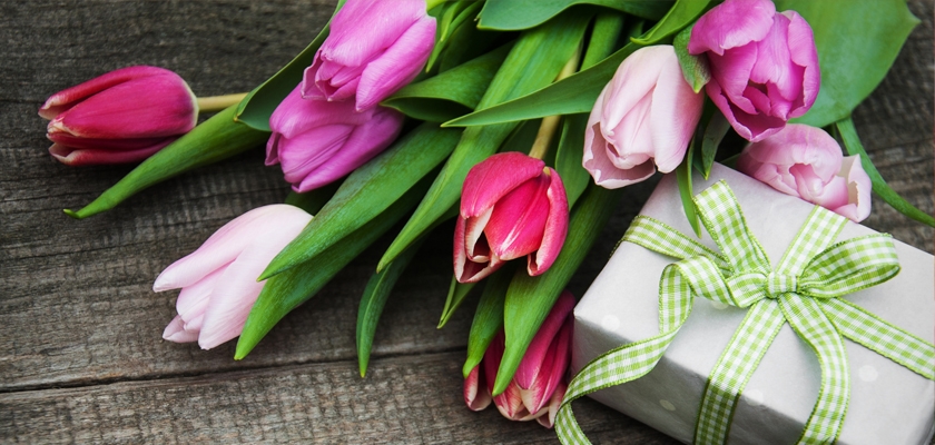 Vibrant bouquet of pink and white tulips paired with a beautifully wrapped gift box.
