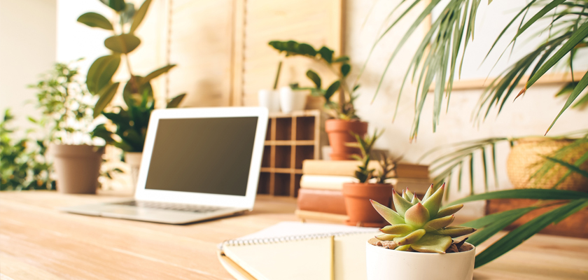 Modern workspace featuring a laptop surrounded by vibrant houseplants and decorative bookshelves.
