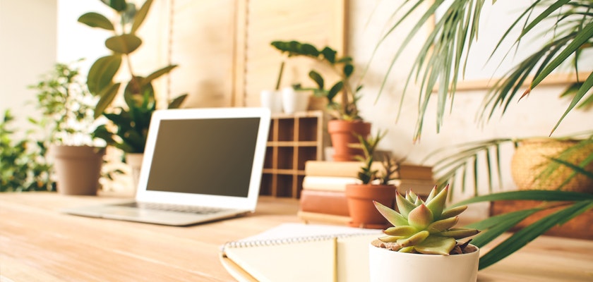 Modern workspace featuring a laptop surrounded by vibrant houseplants and decorative bookshelves.