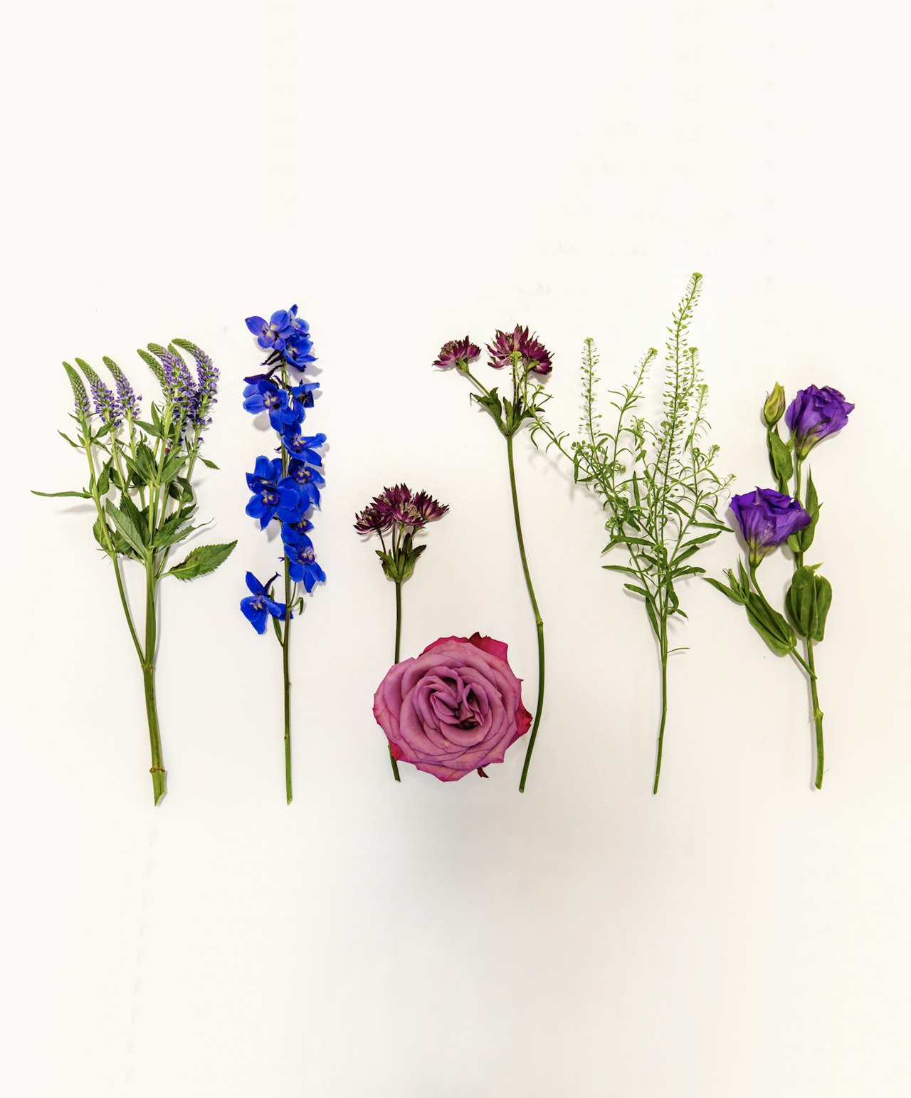 Vibrant floral arrangement featuring blue and purple flowers, ideal for enhancing any celebration.