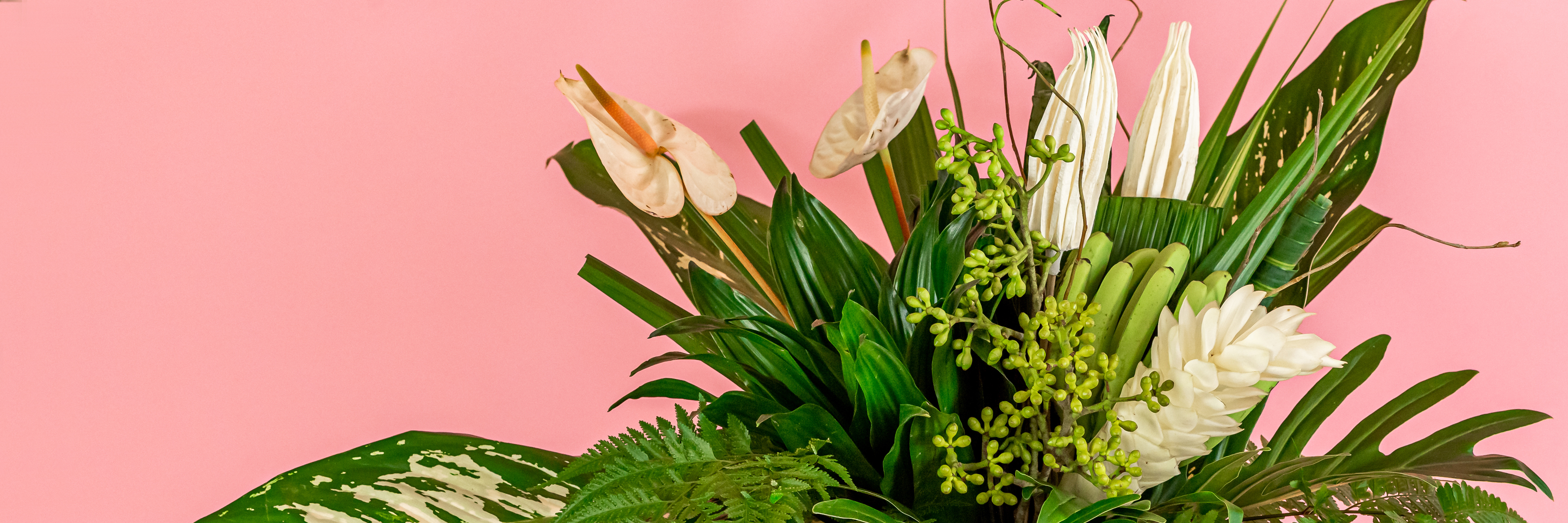 Vibrant tropical floral arrangement featuring anthuriums and lush greenery against a pink backdrop.