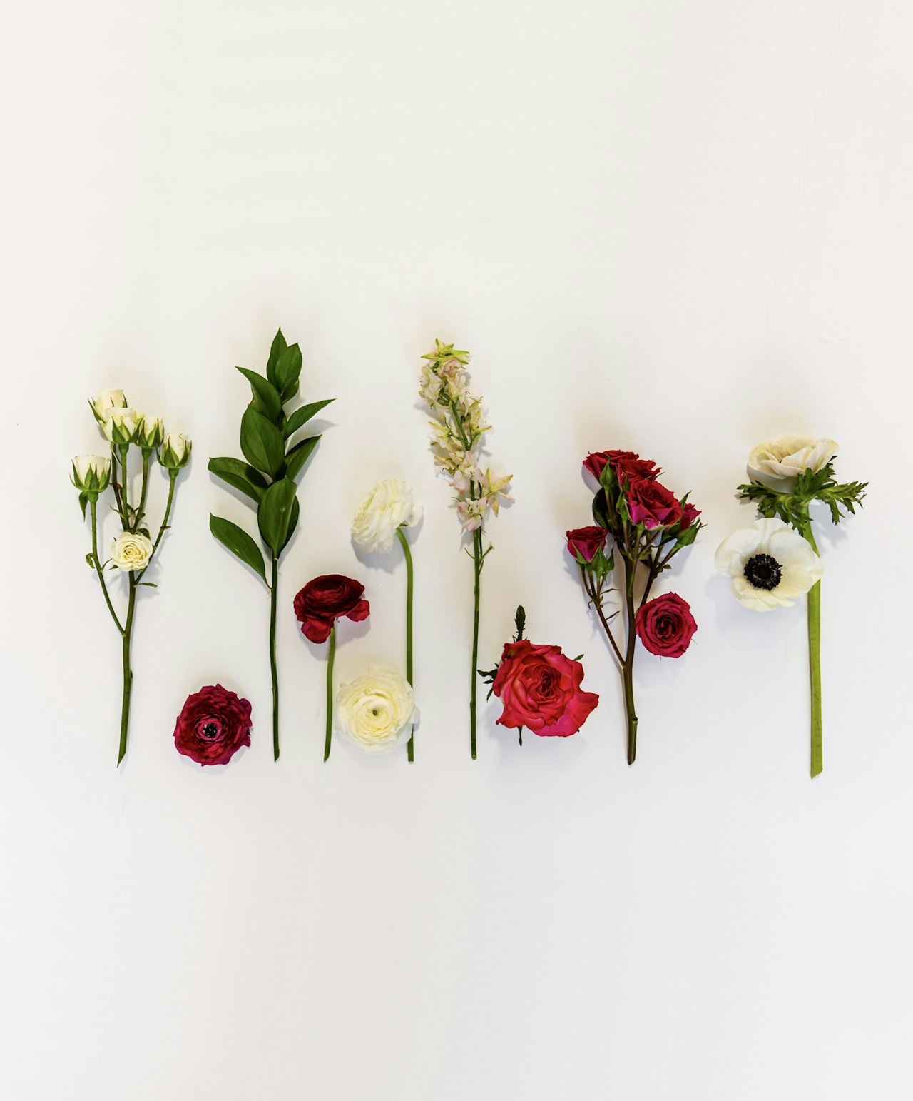 A stunning lineup of assorted flowers in red and white, showcasing natural beauty and elegance.