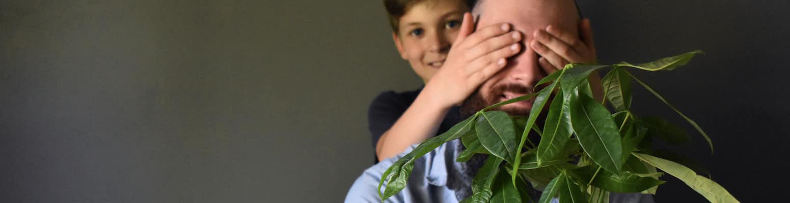 A joyful moment between a father and son, playfully hiding behind a lush indoor plant.