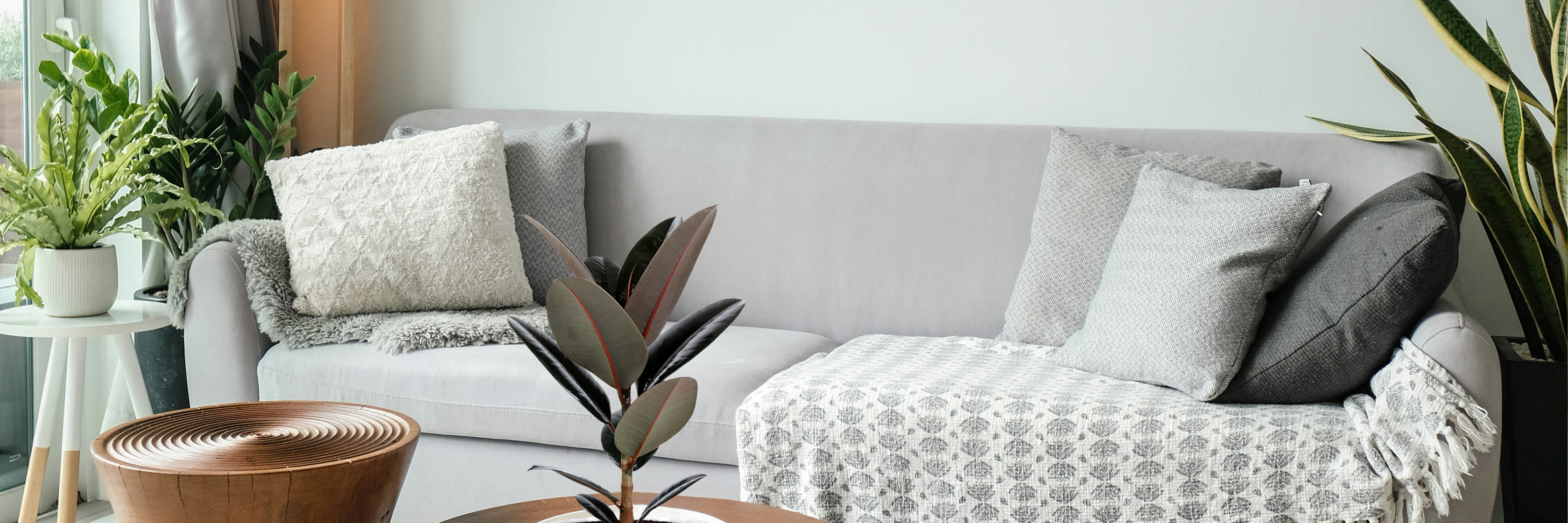 Modern living room featuring a cozy gray sofa, decorative pillows, and indoor plants.
