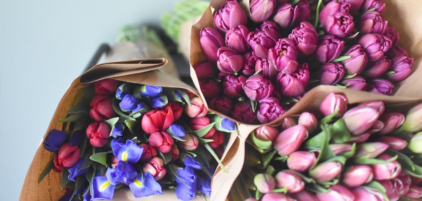 A vibrant collection of tulips and irises in colorful paper wraps, ideal for spring celebrations.