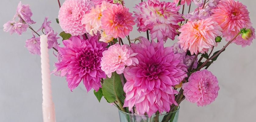Vibrant floral arrangement featuring pink dahlias, zinnias, and delicate blooms in a glass vase.