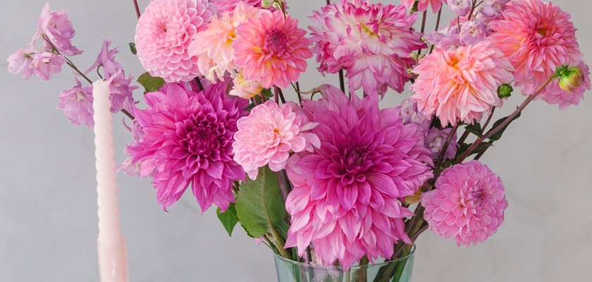 Vibrant floral arrangement featuring pink dahlias, zinnias, and delicate blooms in a glass vase.