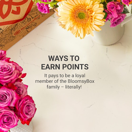 WAYS TO  EARN POINTS