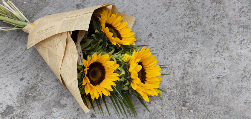 Bright sunflowers wrapped in newspaper, adding a cheerful touch to any setting.