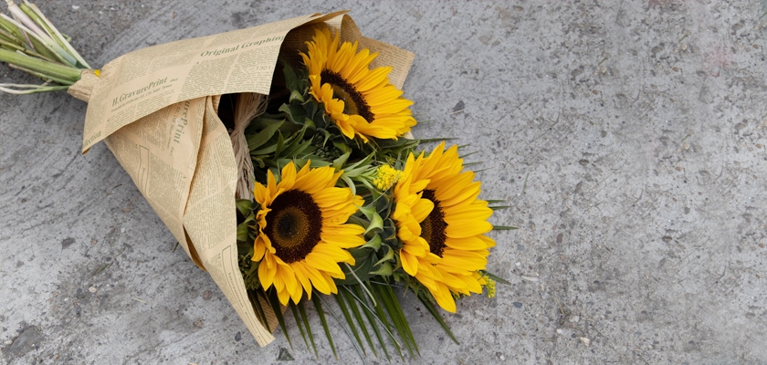 Bright sunflowers wrapped in newspaper, adding a cheerful touch to any setting.