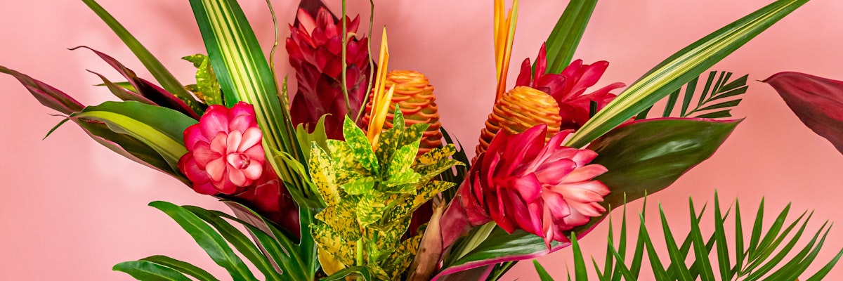 Vibrant tropical floral arrangement featuring bold red blooms and lush green foliage.