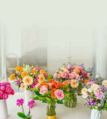 Vibrant flower arrangements featuring roses, gerbera daisies, and orchids in stylish vases.