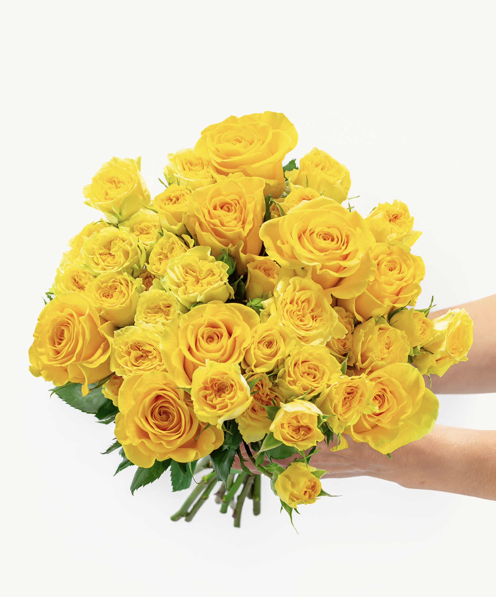 Vibrant bouquet of yellow roses in various shades, ideal for celebrations and cheerful occasions.