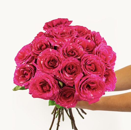 Vibrant bouquet of hot pink roses with delicate accents, perfect for celebrations.