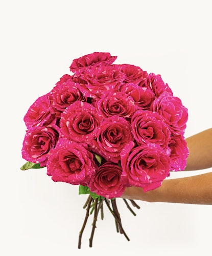Vibrant bouquet of hot pink roses with delicate accents, perfect for celebrations.
