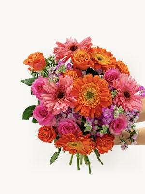 A vibrant pet-friendly bouquet with orange and hot pink roses, daisies, and small pink flowers