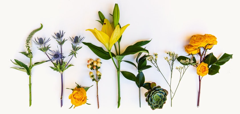 Vibrant assortment of yellow flowers and succulents arranged stylishly on a light background.