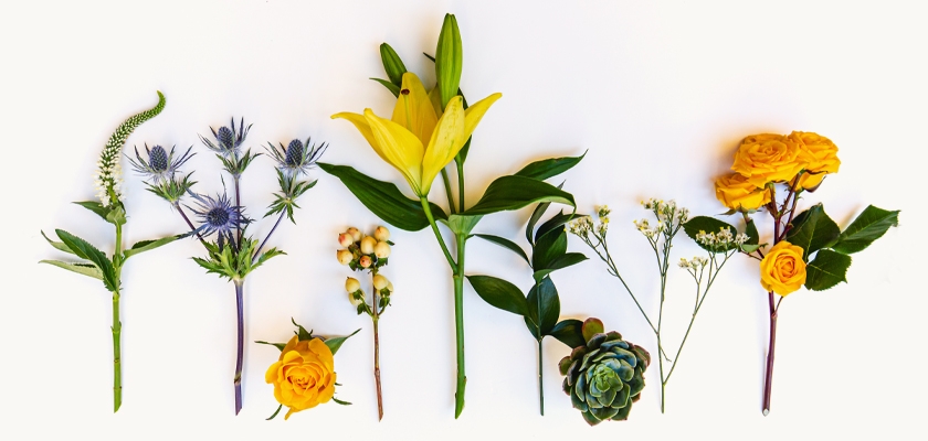 Vibrant assortment of yellow flowers and succulents arranged stylishly on a light background.