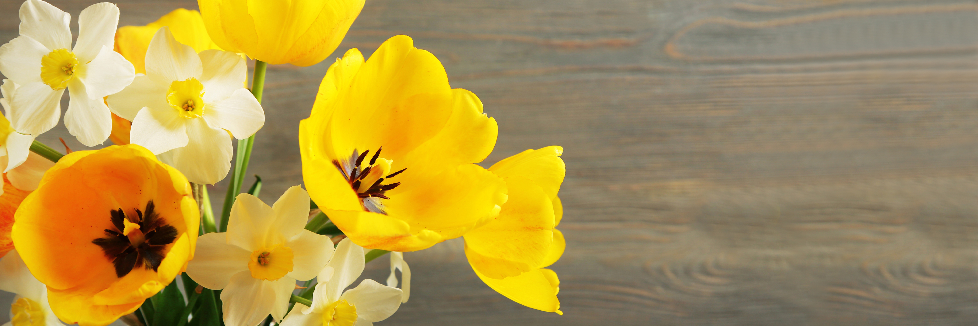 A cheerful bouquet of bright yellow tulips and white daffodils on a wooden surface.