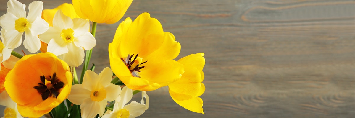 A cheerful bouquet of bright yellow tulips and white daffodils on a wooden surface.