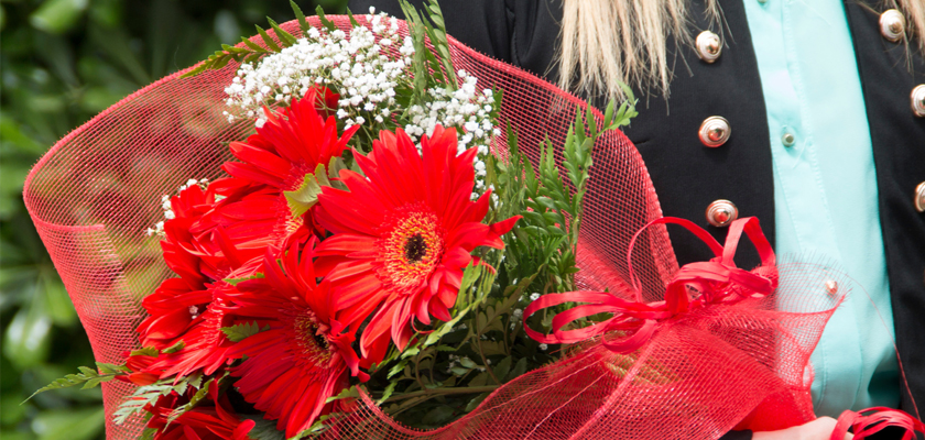 Vibrant bouquet of red gerbera daisies wrapped in mesh, adorned with delicate greenery.