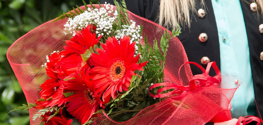 Vibrant bouquet of red gerbera daisies wrapped in mesh, adorned with delicate greenery.