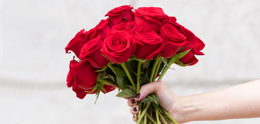 Vibrant hand-held bouquet of deep red roses, perfect for romantic gestures and celebrations.