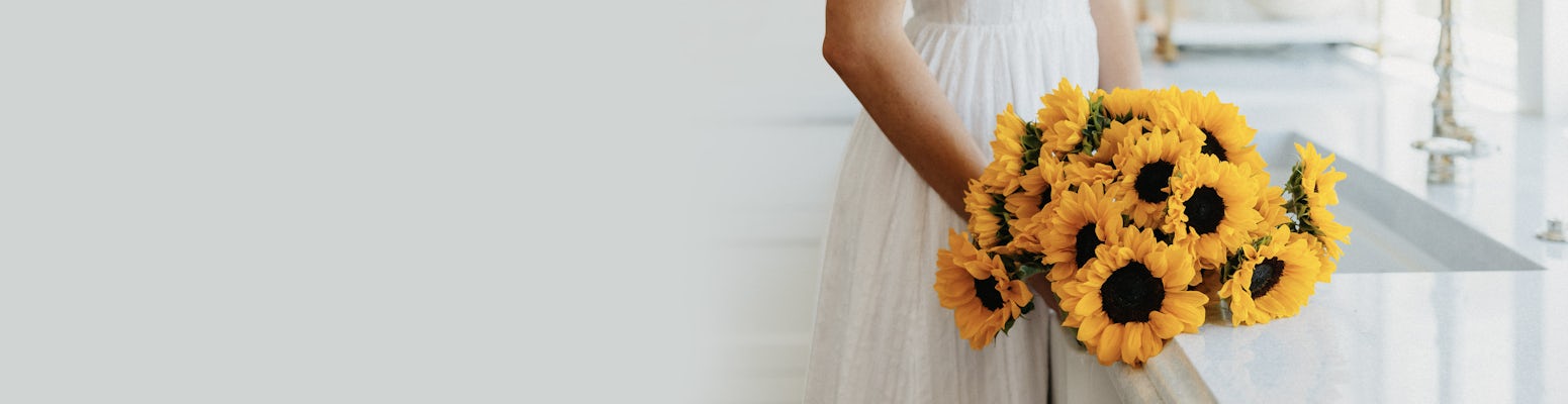 A stunning bouquet of vibrant sunflowers held by a woman in a light dress, ideal for celebrations.