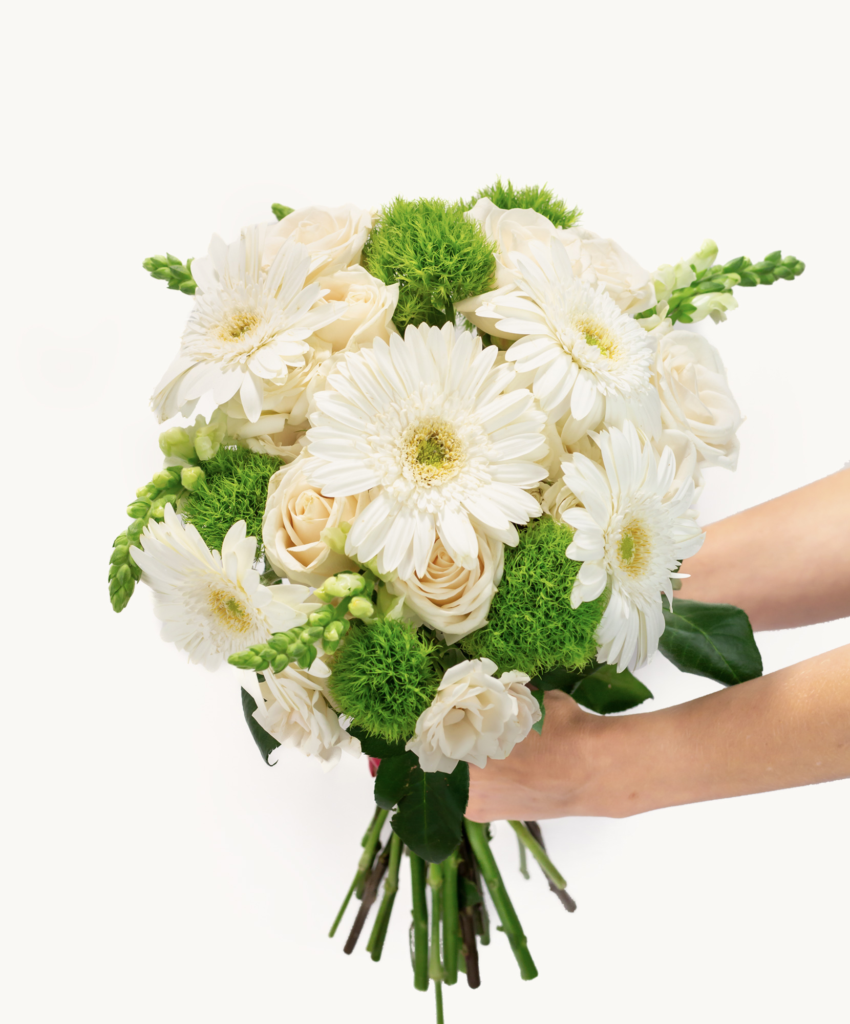 Delicate white gerbera daisies and soft roses in a lush green bouquet held gracefully.
