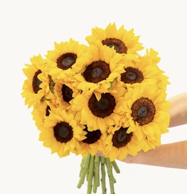 A bright sunflower bouquet with fresh, vibrant yellow blooms and lush greenery.