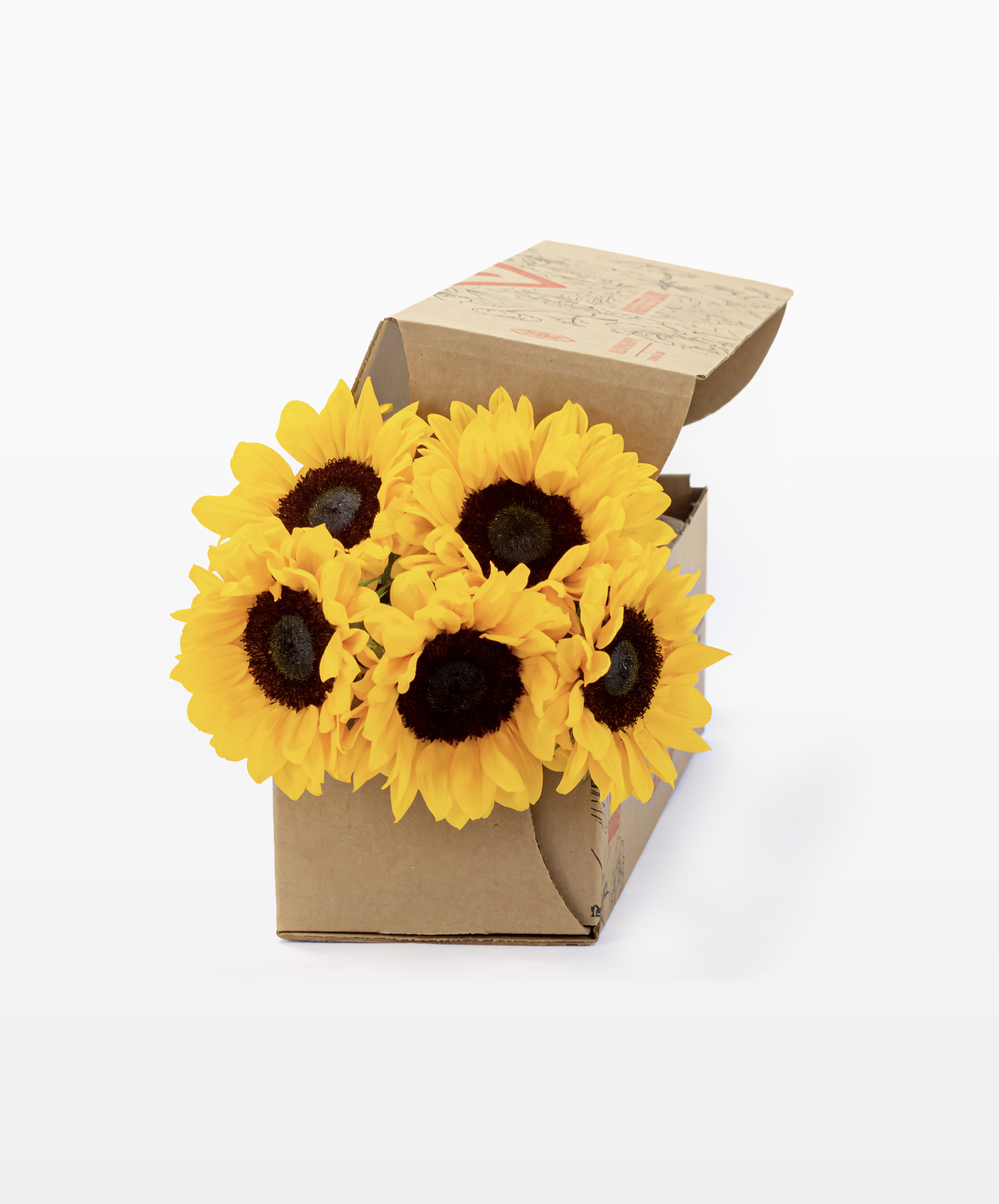 Sunflowers | Yellow sunflowers | Sunflower Delivery with