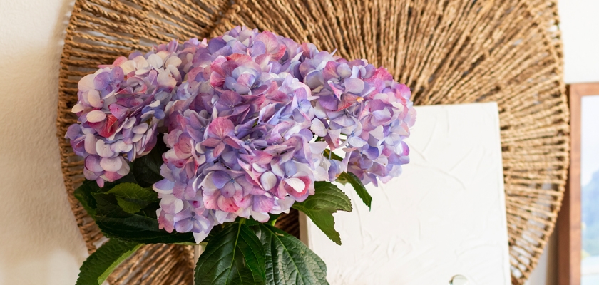 Vibrant hydrangea blooms in shades of purple displayed in a stylish woven basket.