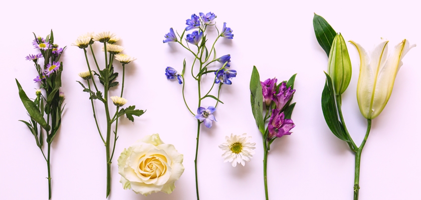 A vibrant selection of spring flowers, including roses and lilies, arranged artistically.