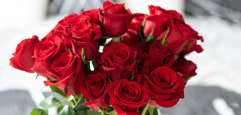 Lush bouquet of vibrant red roses, exuding elegance and romance, ideal for celebrations.