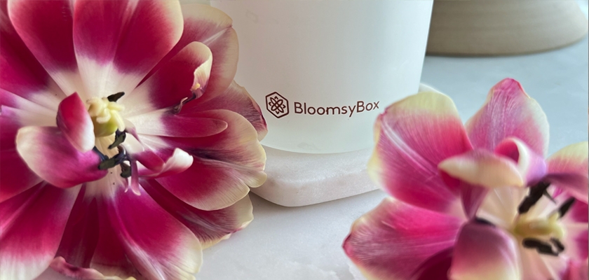 Vibrant pink and white tulips beside a BloomsyBox vase, showcasing floral elegance.