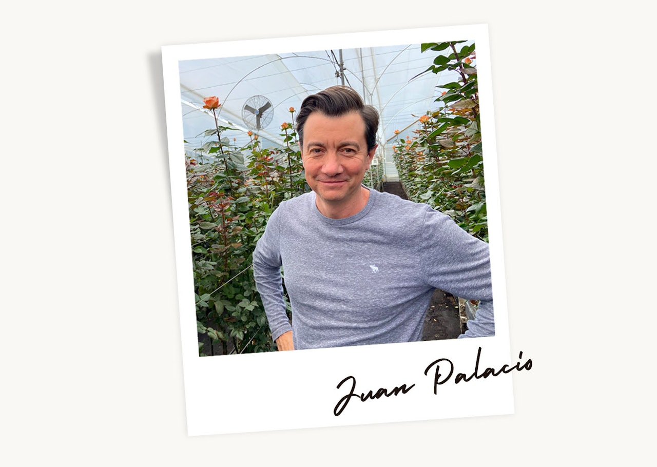 A man smiling amidst blooming roses in a greenhouse setting, showcasing floral beauty.
