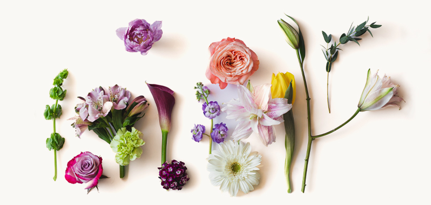 A vibrant assortment of colorful flowers, elegantly arranged for a cheerful floral display.