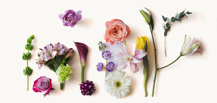 A vibrant assortment of colorful flowers, elegantly arranged for a cheerful floral display.