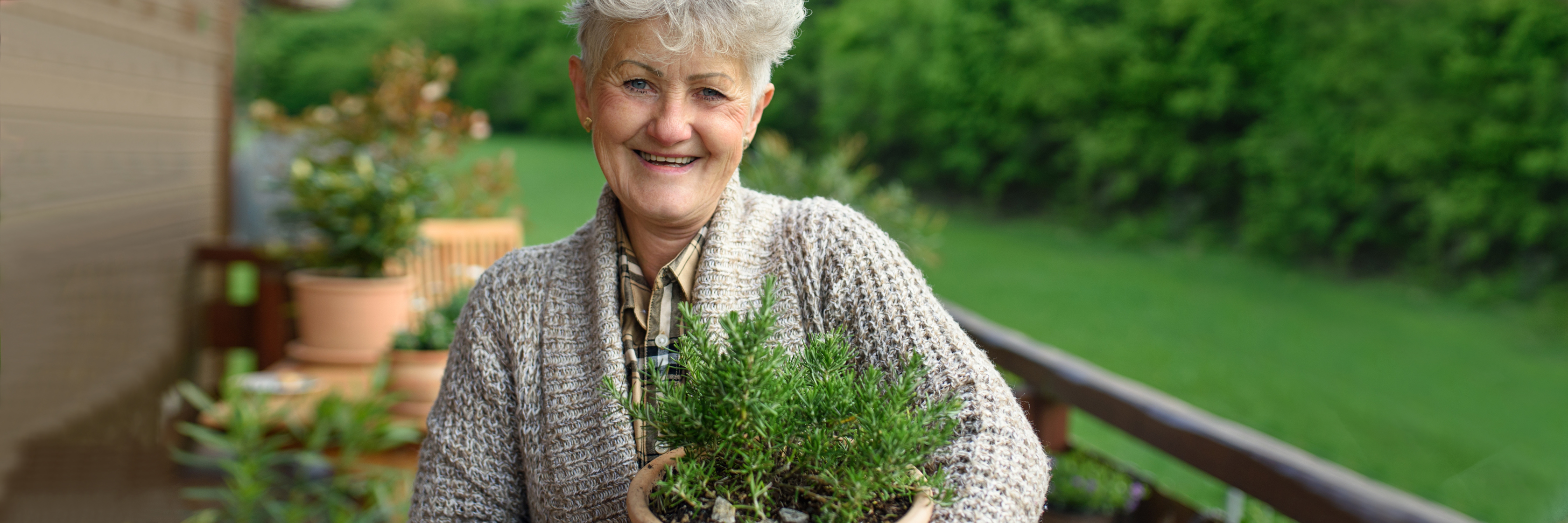 Smiling elderly woman in a cozy sweater holds a potted herb plant on a lush green balcony.
