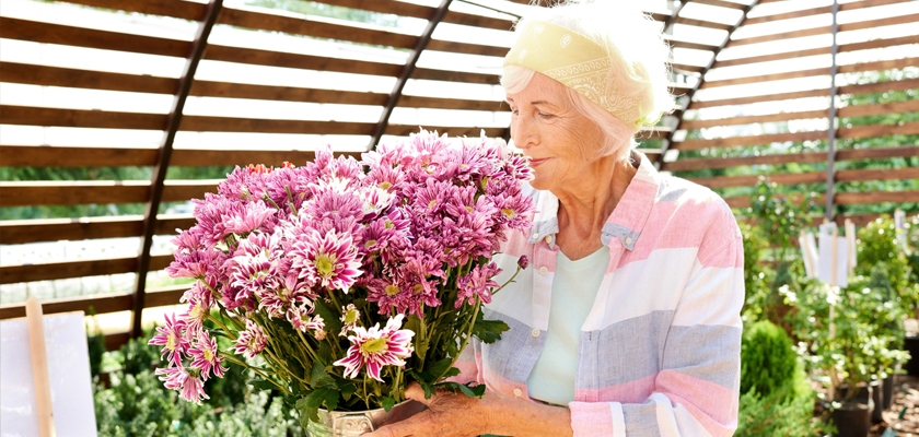 A joyful elderly woman smelling a vibrant bouquet of pink chrysanthemums in a garden setting.